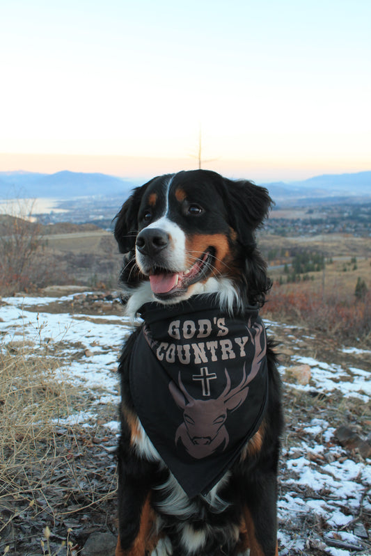 GOD’S COUNTRY DOG BANDANA