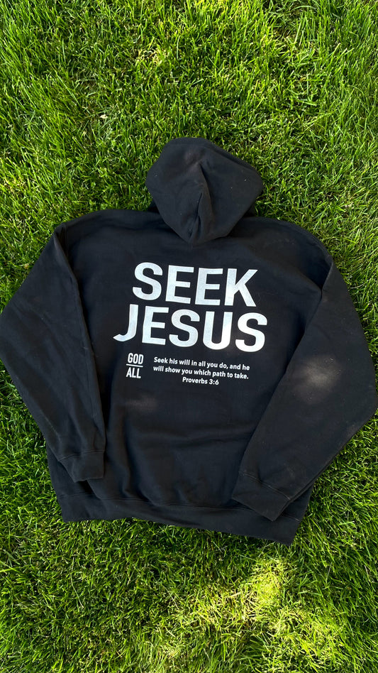 SEEK JESUS HOODIE