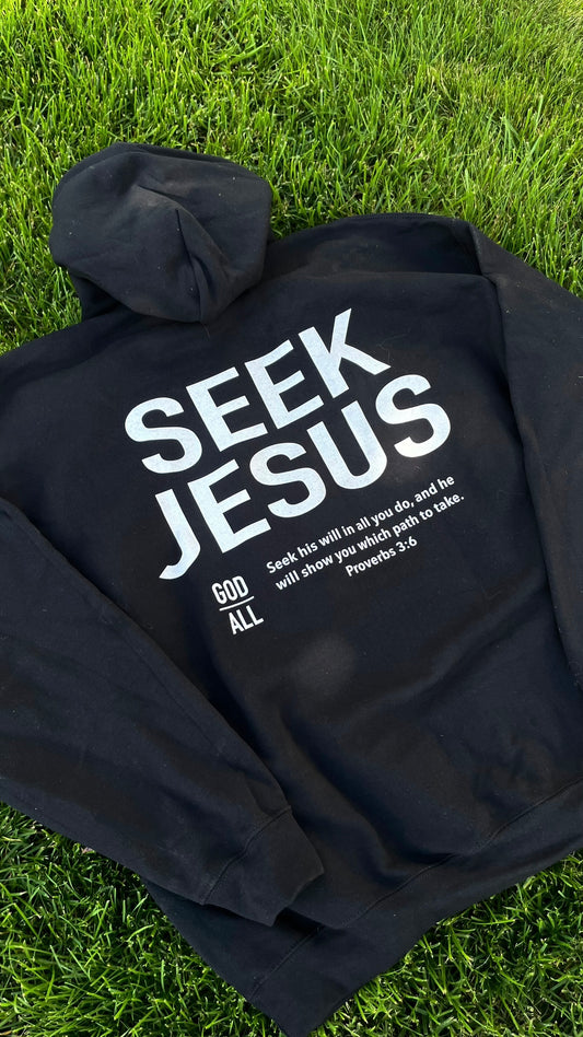 SEEK JESUS HOODIE