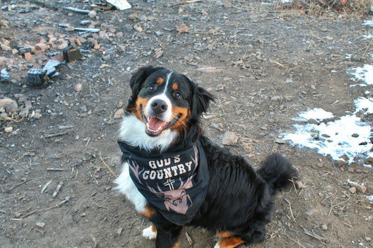 GOD’S COUNTRY PET BANDANA