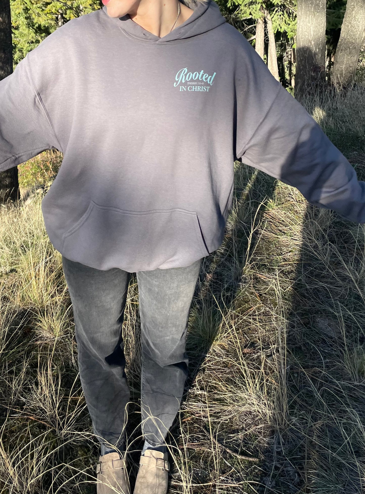 ROOTED IN CHRIST HOODIE