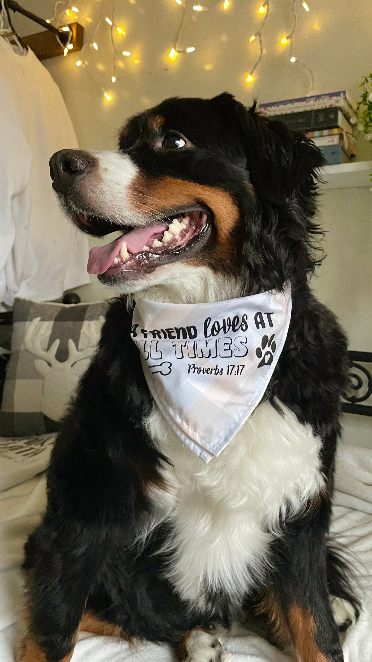 A FRIEND LOVES AT ALL TIMES DOG BANDANA