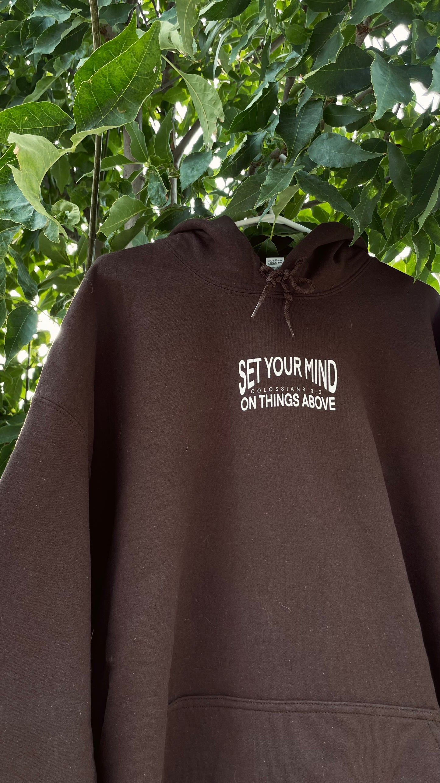 SET YOUR MIND ON THINGS ABOVE HOODIE