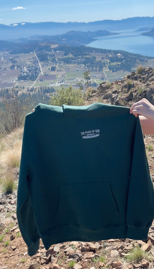 THE PEACE OF GOD SURPASSES ALL UNDERSTANDING PREMIUM HOODIE