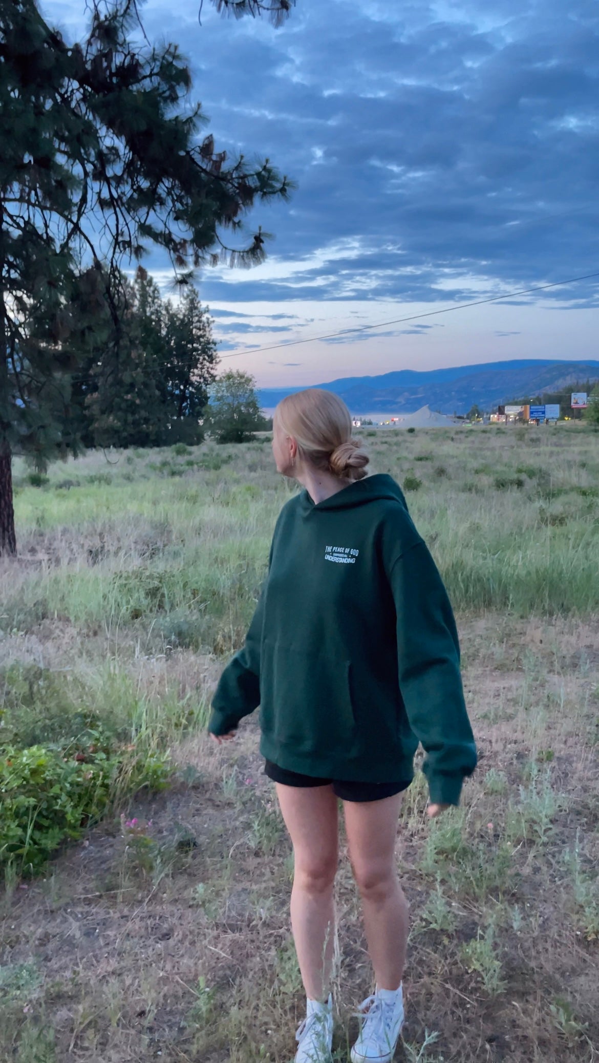 THE PEACE OF GOD SURPASSES ALL UNDERSTANDING PREMIUM HOODIE