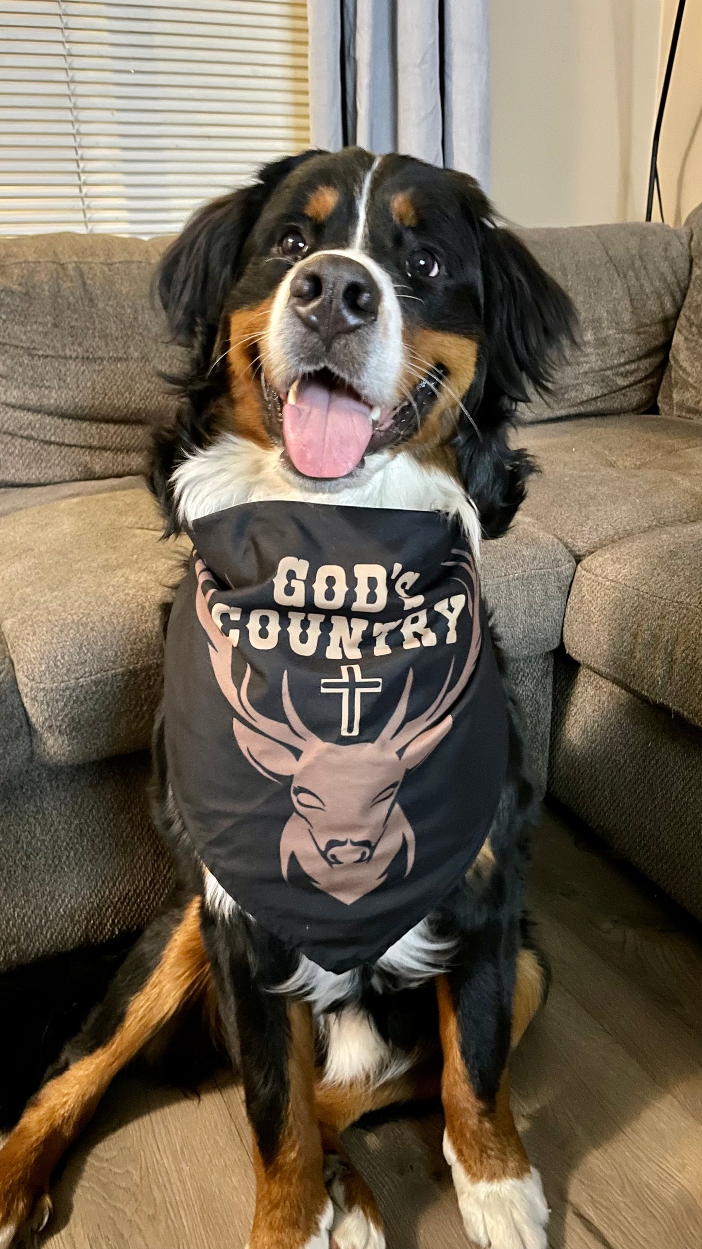 GOD’S COUNTRY PET BANDANA