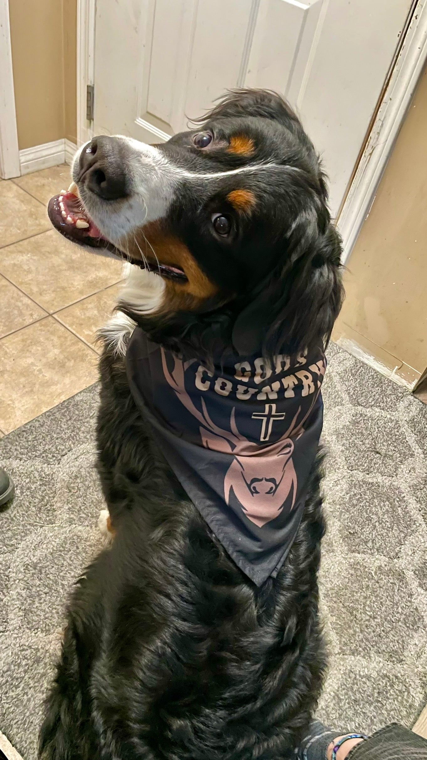 GOD’S COUNTRY PET BANDANA