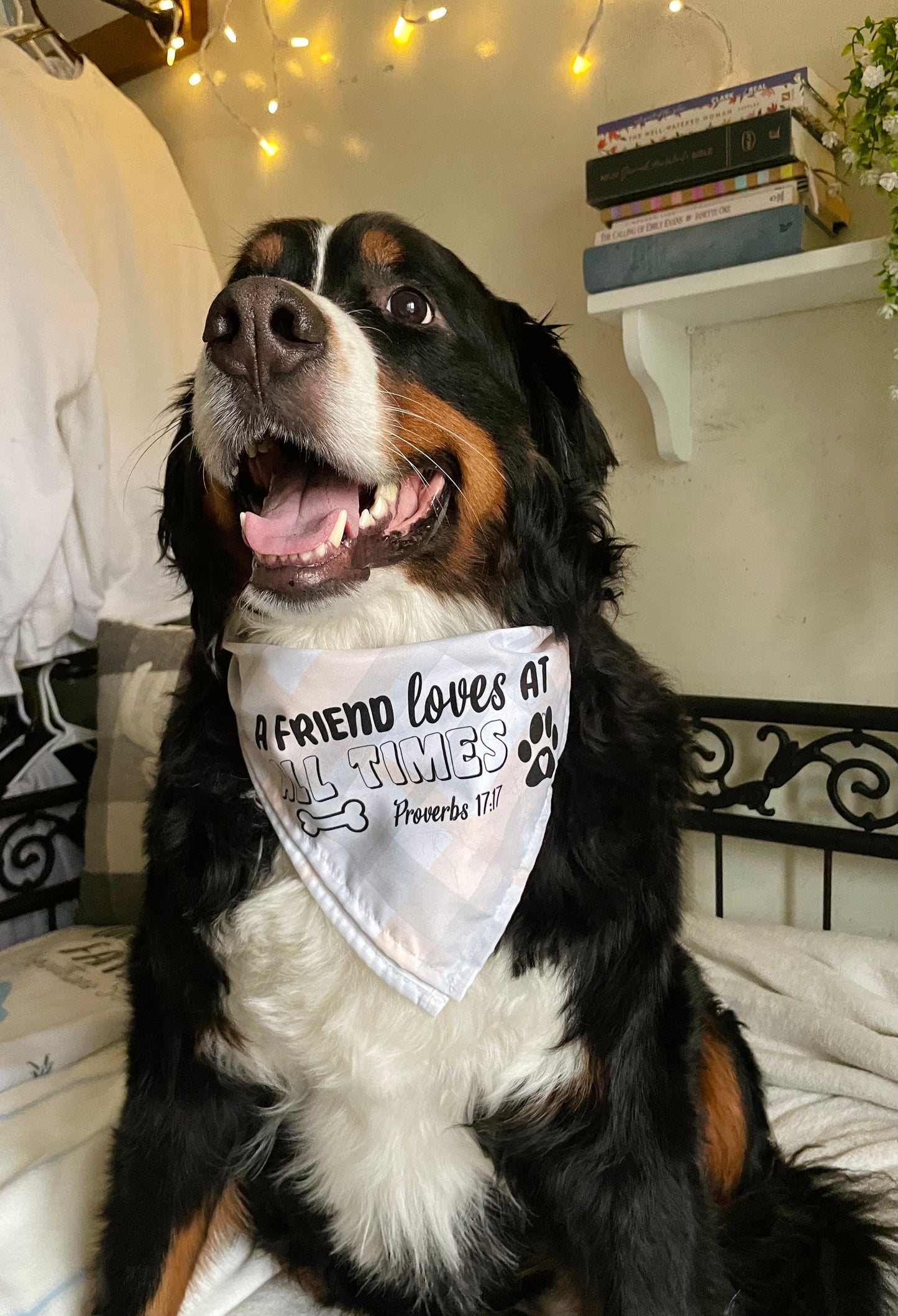 A FRIEND LOVES AT ALL TIMES DOG BANDANA