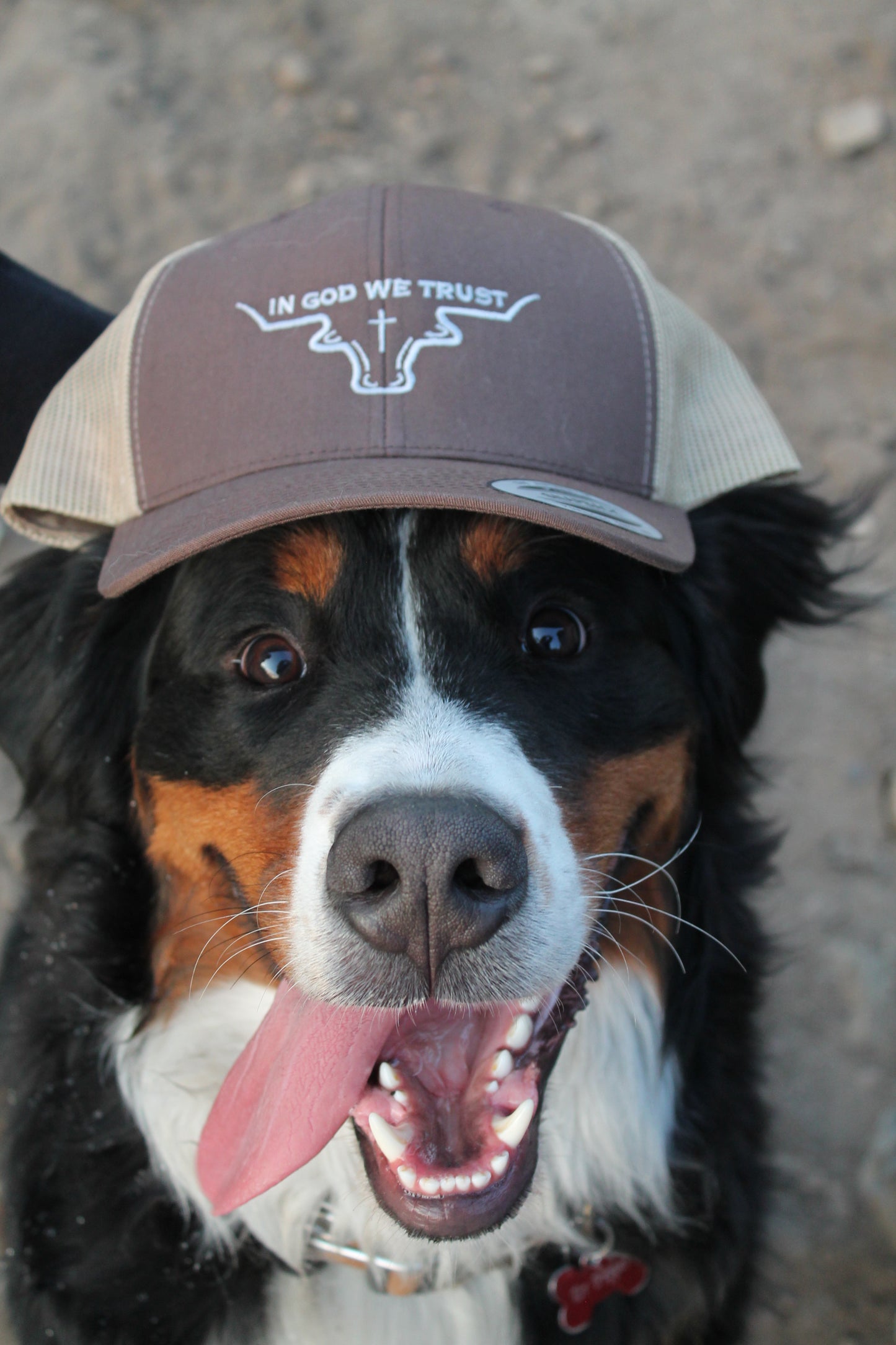 IN GOD WE TRUST TRUCKER HAT