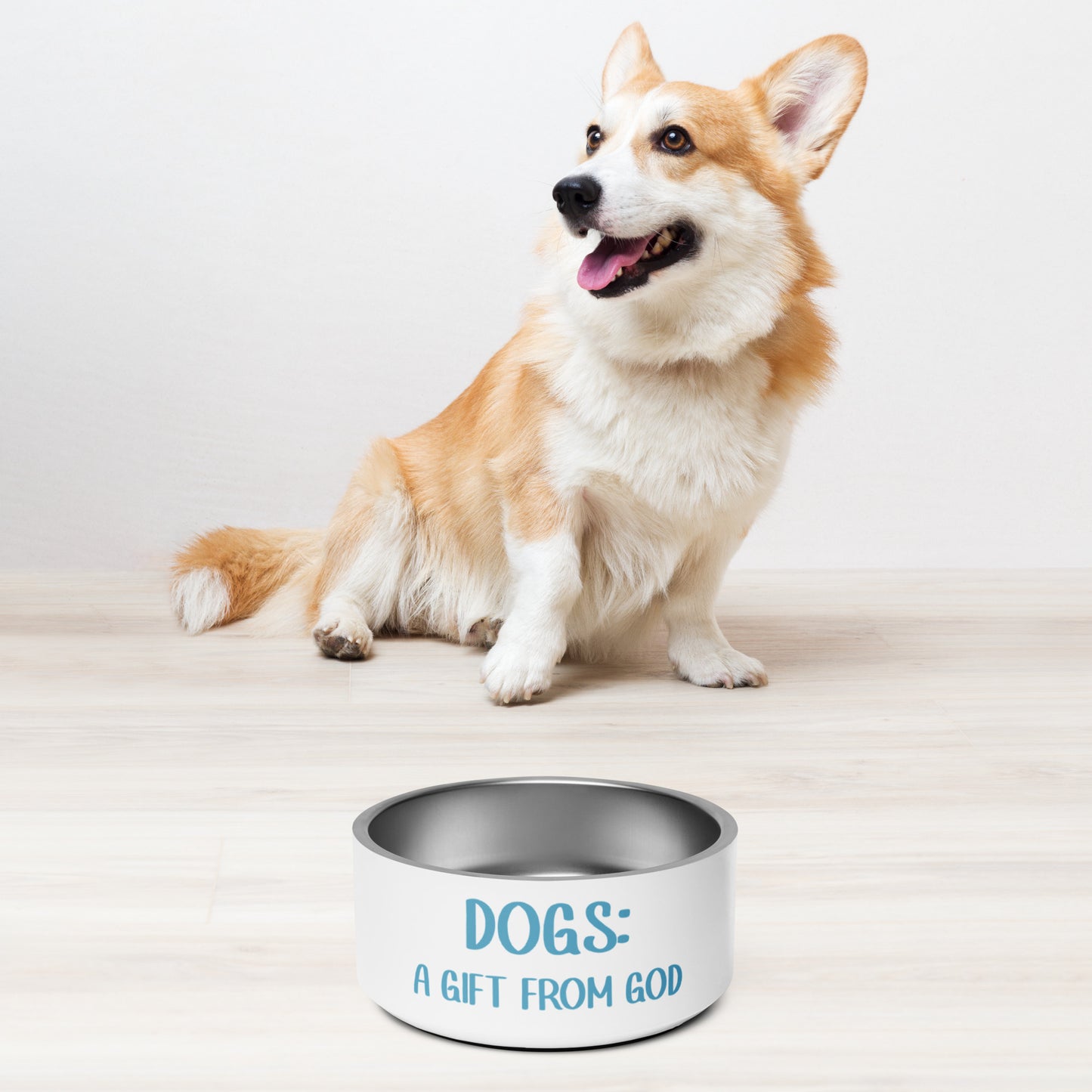 DOGS: A GIFT FROM GOD PET BOWL