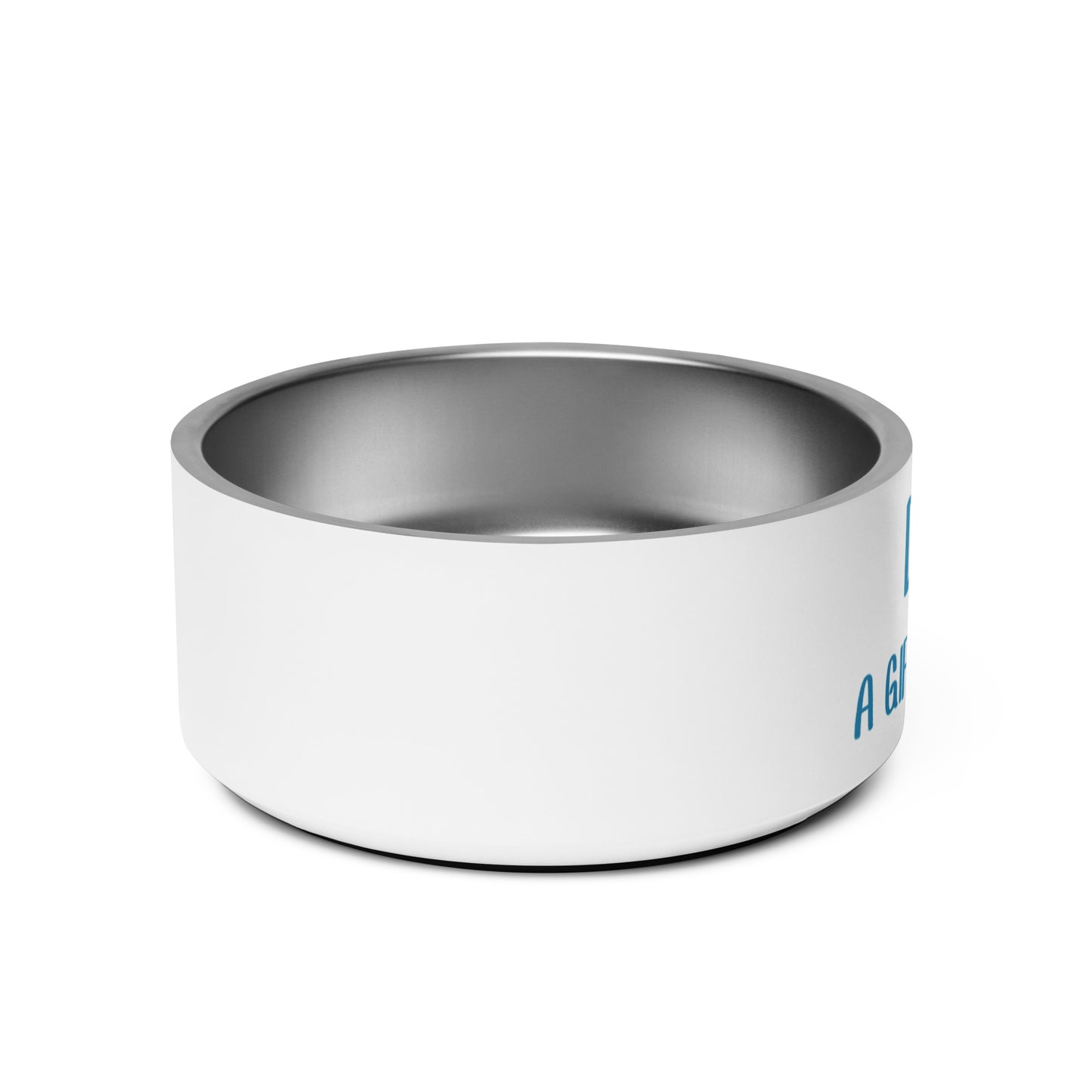 DOGS: A GIFT FROM GOD PET BOWL