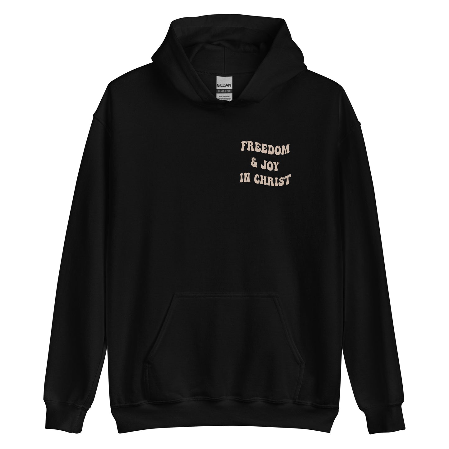 FREEDOM & JOY IN CHRIST HOODIE