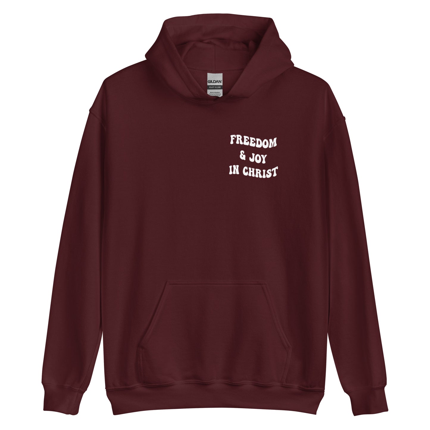 FREEDOM & JOY IN CHRIST HOODIE