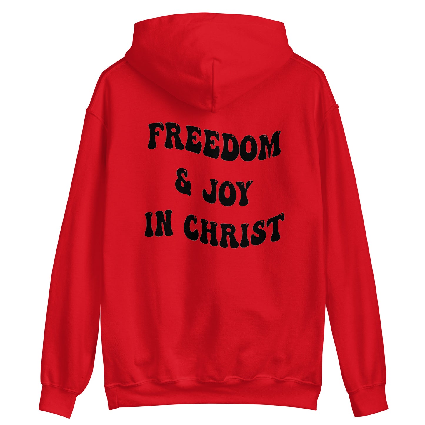 FREEDOM & JOY IN CHRIST HOODIE